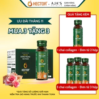 Nước Nấm Đông Trùng Hạ Thảo Hector Lite (50ml x 10 chai)