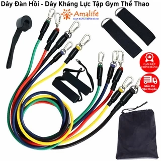 Bộ 5 Dây Kháng Lực Dây Đàn Hồi Ngũ Sắc Tập Thể Hình Tập Gym Toàn Thân Đa Năng Chống Đứt Móc Sắt Chính Hãng Amalife