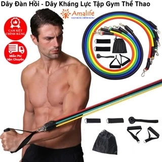 Bộ 5 Dây Kháng Lực Tập Thể Hình, Dây Ngũ Sắc Dây Đàn Hồi Tập Gym Đa Năng Chống Đứt Cao Cấp Chính Hãng Amalife