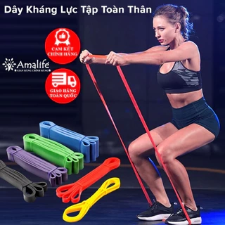Dây Cao Su Kháng Lực Hỗ Trợ Tập Gym Lên Xà, Dây Kháng Lực Tập Toàn Thân Powerband Đa Năng Thể Thao Chính Hãng Amalife