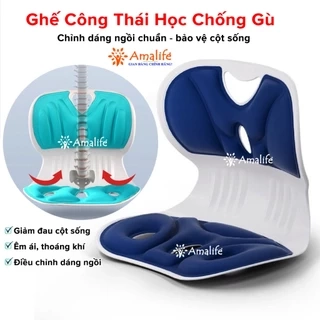 Ghế Công Thái Học Chống Gù Lưng, Ghế Văn Phòng Giúp Ngồi Thẳng Lưng Phù Hợp Trẻ Em Sinh Viên Người Làm Việc Hãng Amalife