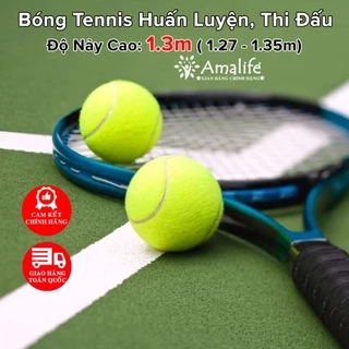 Bóng Tennis Độ Nảy Cao 1.3m Mới 100% Banh Tennis Dùng Tập Luyện Cơ Bản Training Chính Hãng Amalife