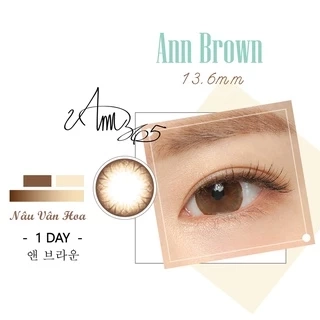 Lens 1 Ngày ANN365 Màu Nâu Đậm Ann Brown Giãn Tròng Cho Mắt Cận Loạn