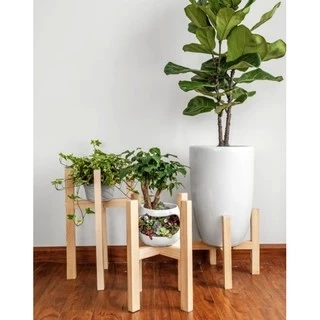 Đôn gỗ đựng cây cảnh Behomes