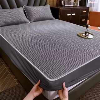 Chiếu điều hoà boc chun vải tencel bodecor mát mẻ, kháng khuẩn, không mùi hôi cao su tặng kèm 2 vỏ gối đầu