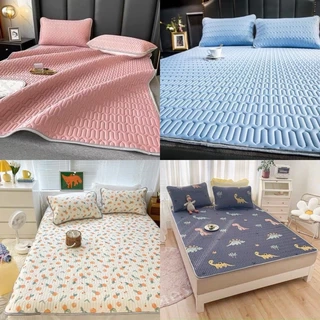 Chiếu Điều Hòa Vải Tencel tăng2 vo goi  mát mẻ bodecor kháng khuẩn không mùi hôi cao su giảm nhiệt 4 đến 6 độ C