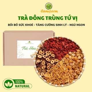Trà đông trùng hạ thảo long nhãn tứ vị Camifarm đẹp da, bồi bổ sức khỏe, tăng cường sinh lý, dễ ngủ