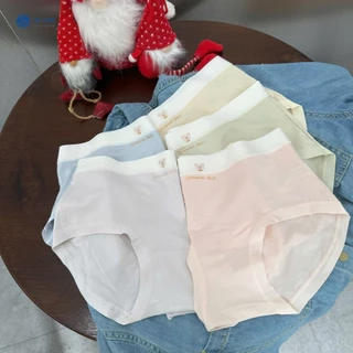Combo 5 Quần Lót Nữ  Modal Cạp Vừa Mềm Mịn Màu Pastel (45-62kg) QL1050 by BeChipi