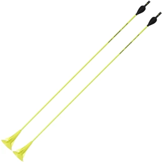 Bộ hai mũi tên bắn cung discosoft xanh lá cây DECATHLON GEOLOGIC mã 8542931