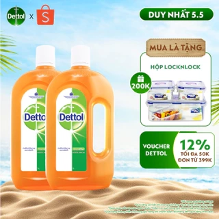 Combo 02 chai dung dịch diệt khuẩn khử mùi đa năng Dettol, 1L/chai
