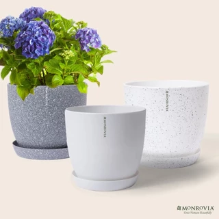 Chậu trồng cây MONROVIA M9 cao cấp cho hoa, cây cảnh, ban công, bonsai, 3 màu nhiều size