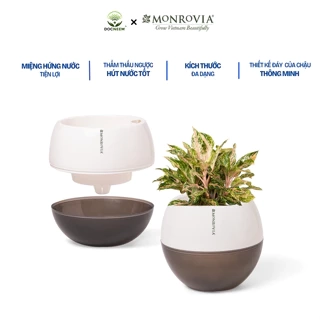 Chậu tự tưới để bàn I0 Monrovia, dáng chậu tròn, chất liệu nhựa PP, màu sắc sang trọng