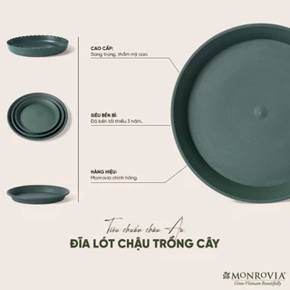 Đĩa lót chậu nhựa trồng cây Monrovia chậu trồng cây, chậu cây cảnh mini, để bàn, treo ban công, treo tường, chính hãng
