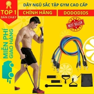 Bộ Dây Cao Su Đàn Hồi Kháng Lực Ngũ Sắc 11 Món Tập Gym Tiện Ích - Hãng Dododios