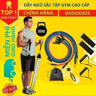 Dây Cao Su Ngũ Sắc Tập Gym Tại Nhà Đa Năng Siêu Bền - Hãng Dododios