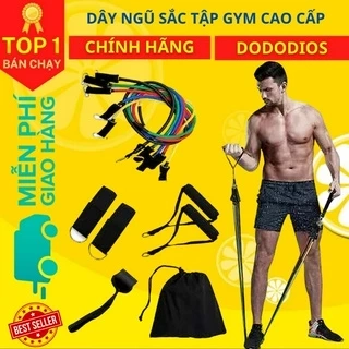Dây Ngũ Sắc Kháng Lực Tập Gym, Thể Hình Đa Năng Tại Nhà Chất Liệu Cao Su Siêu Bền - Hãng Dododios