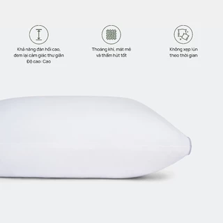 Ruột gối đầu Standard 45*65