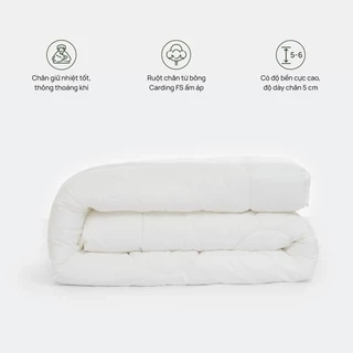 Ruột chăn cao cấp Micro Everon (Dày 5.5cm) siêu nhẹ, siêu ấm nhiều kích thước