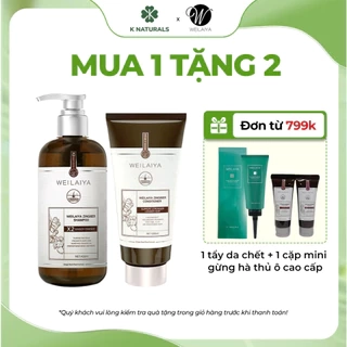 Bộ gội xả tinh chất gừng hà thủ ô cao cấp Weilaiya Luxury giúp mọc tóc và phục hồi tóc hư tổn