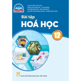 Sách bài tập Hóa học 12 - Chân trời sáng tạo