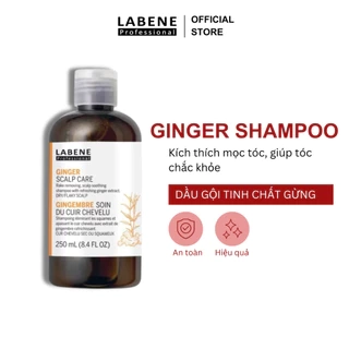 Dầu gội dưỡng sinh tinh chất gừng tươi Ginger Scalp Care LABENE làm sạch da đầu thư giãn chống rụng tóc & kích mọc tóc.