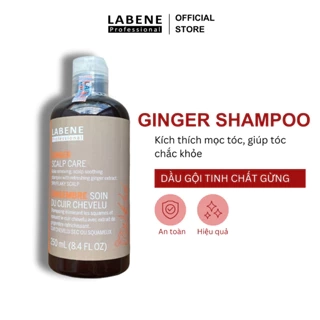 Dầu gội tinh chất gừng tươi Ginger Shampoo 250ml làm sạch da đầu chống rụng tóc &kích mọc tóc | LABENE