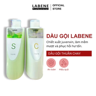 Gội xả thuần chay, chiết xuất Juvenxin, làm tóc mềm mượt và phục hồi hư tổn, hương nước hoa 24h | LABENE