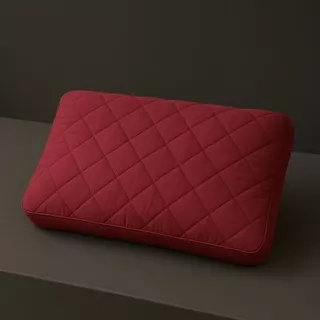 Vỏ Gối Sợi Khí 4D 30x50 Lasante