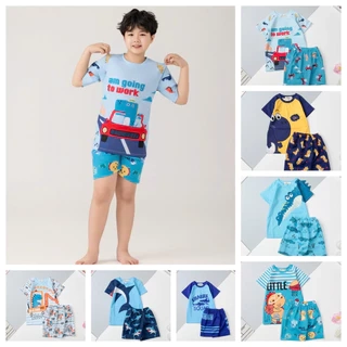 Bộ bơi bé trai LITIBABY 2 mảnh hoạt hình ngộ nghĩnh, size 2 đến 12 tuổi