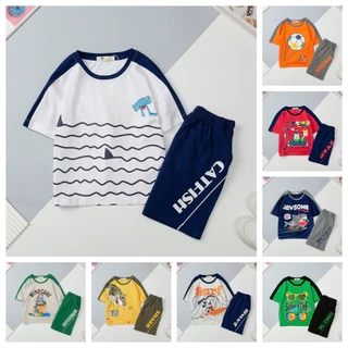 Bộ cotton ngắn tay Bé trai mặc nhà, đi chơi LITIBABY, hoạt hình size 4 đến 12 tuổi