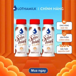 Combo 3 Sữa Tươi Cà Phê Thanh Trùng Lothamilk chai 250ml
