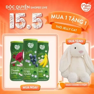 Bánh ăn dặm hũ Mămmy vị trái cây và rau củ giúp hỗ trợ tiêu hoá cho bé 6 tháng tuổi, hũ 32-50g