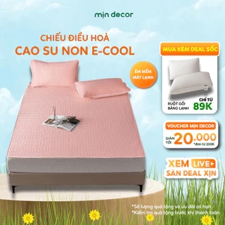 Chiếu Điều Hoà Cao Su Non E-cool Mịn Decor Tặng Kèm 2 Vỏ Gối Nằm, Chiếu Dày 3mm Mềm Mát Màu Trơn