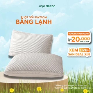 Ruột Gối Băng Lạnh Mịn Decor Mát Lạnh, Kích Thước 50x70cm, Form Cao Vừa 10-15cm