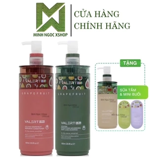 Dầu gội xả bưởi Valert Grapefruit iloliyas 850ML mẫu mới phục hồi dưỡng ẩm, chống rụng kích mọc tóc