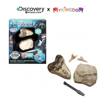 Bộ Đồ Chơi DISCOVERY Khảo Cổ Truy Tìm Răng Cá Mập 2Pc 1423004791