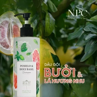Dầu Gội Phyto Biotics Bưởi và Hương Nhu giúp giảm gãy rụng tóc - NPC PHAR