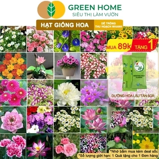 Hạt Giống Hoa GreenHome, Nhiều Loại, Rực Rỡ, Trồng Chậu, Dễ Trồng, Trồng Quanh Năm, Nhanh Ra Hoa