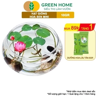Hạt Giống Hoa Sen Mini GreenHome, Gói 10 Gram, Nhiều Màu, Dễ Trồng, Nảy Mầm Tốt H01