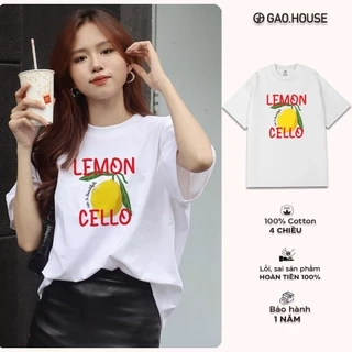 Áo phông nữ girl phố Gạo House cute, áo thun cộc tay chất cotton 100% 4 chiều, áo phông MAT38