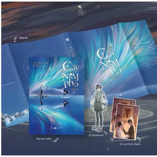 Sách - Cây nấm nhỏ (tái bản 2025)