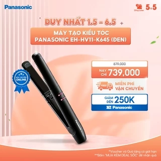 Máy Sấy Tóc Ionity Panasonic EH-NE66-K645 - Tay Cầm Gấp Tiện Lợi - BH 12 Tháng
