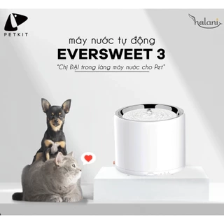 Máy nước Eversweet 3 Petkit cho thú cưng