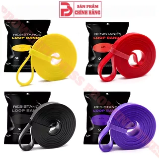 Dây kháng lực Power band Prowin Fitness hỗ trợ tập gym, yoga, kéo xà
