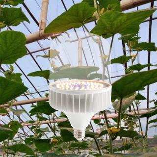 Đèn LED chiếu sáng cây trồng Rạng Đông 50W - Kích thích tăng trưởng