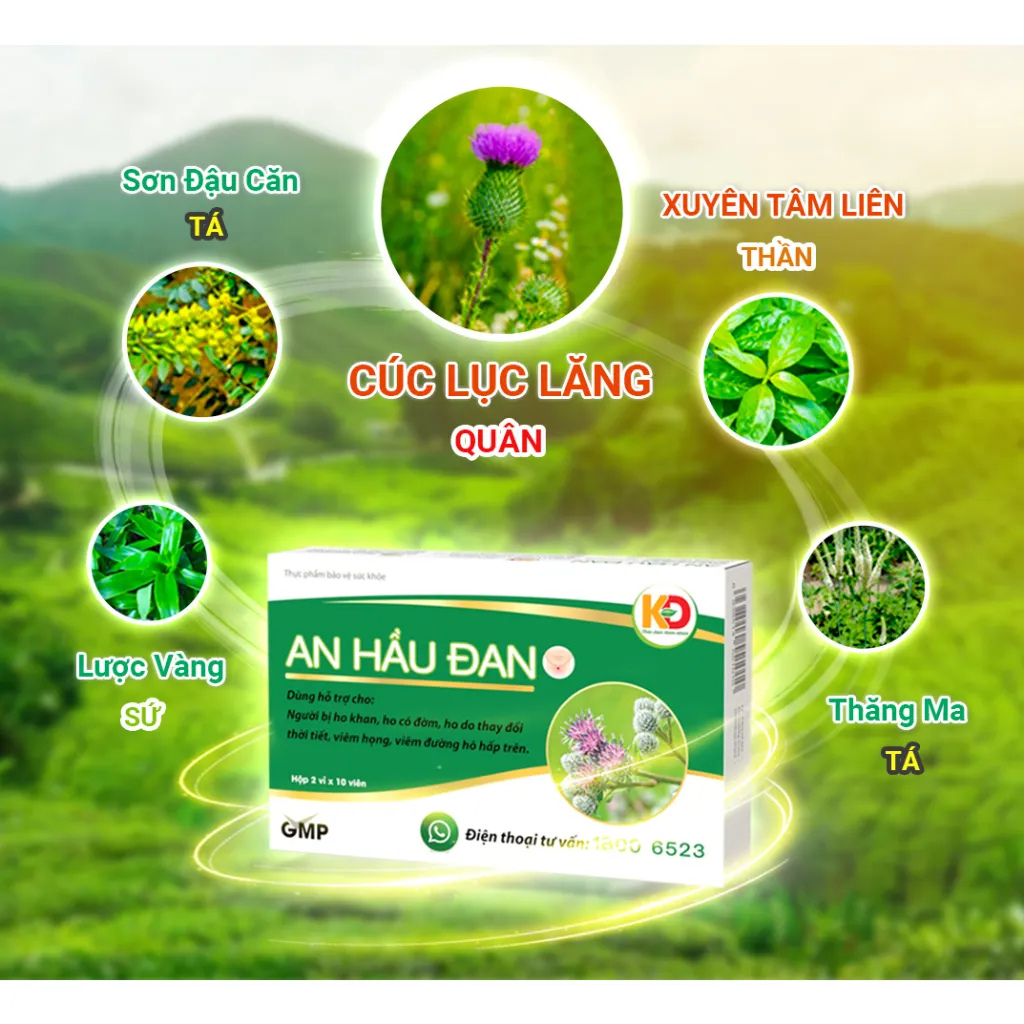 Ảnh AHĐ-Viên Ngậm Ho Thảo Dược An Hầu Đan Zlove Giảm viêm họng hạt, viêm amidan, khàn tiếng, ho có đờm (Hộp 20 viên) 3