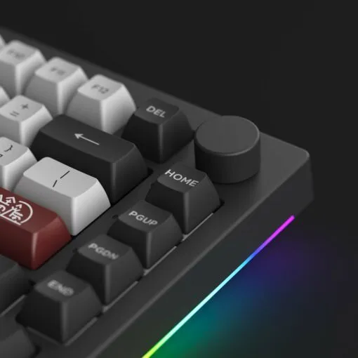 Ảnh AKKO 5075B Plus-S Dracula Castle (Multi-modes / RGB / Hotswap / Gasket mount / South Facing) 4