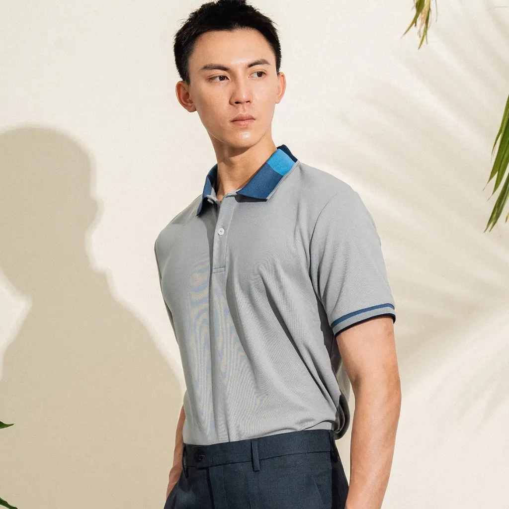 Ảnh Áo phông cổ polo cộc tay nam Phan Nguyễn, chất liệu cà phê kháng khuẩn mềm mại, thoáng mát APC.209 2