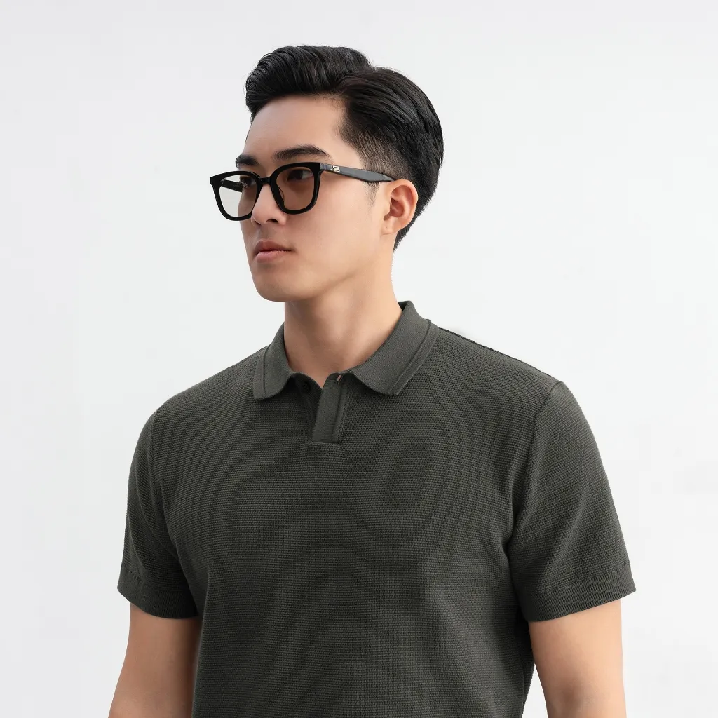 Ảnh Áo polo LEN DỆT KIM GATA KNIT cao cấp, kiểu dáng classic Hàn Quốc sang trọng - APL332 4