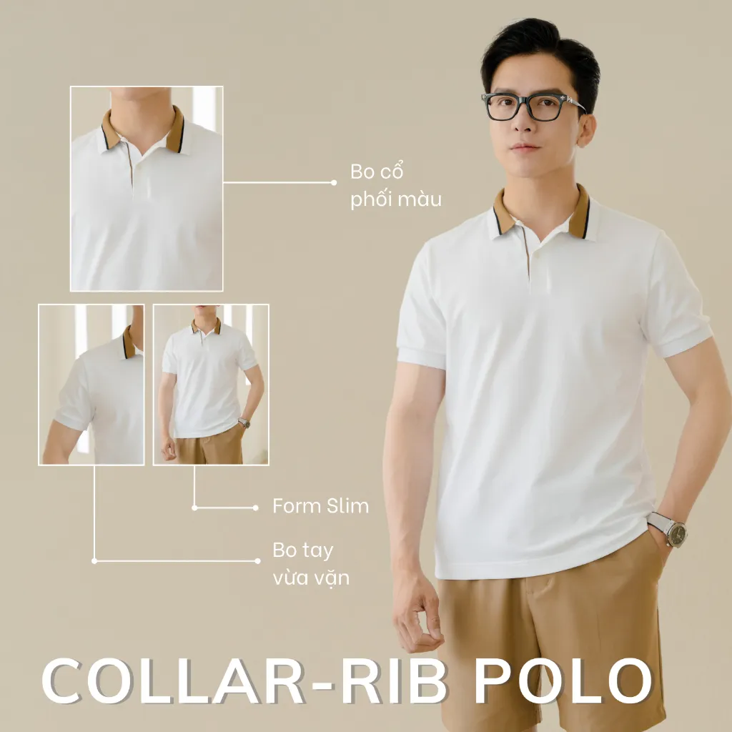 Ảnh Áo Polo nam BLOCK COLLAR-RIB LEEVUS phối bo, vải CVC cá sấu, form regular APL311 2